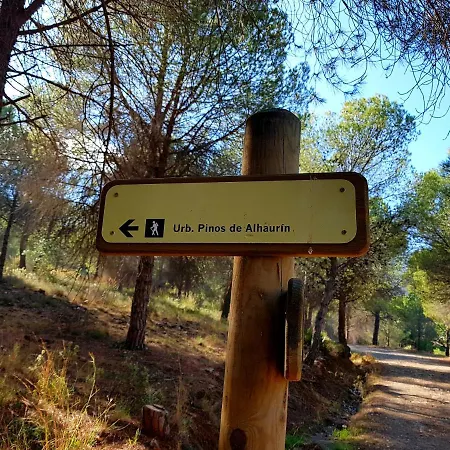 Naranja - Oase Van Rust Málaga