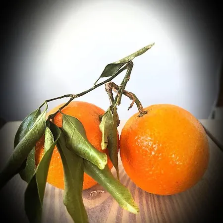 Naranja - Oase Van Rust Villa *